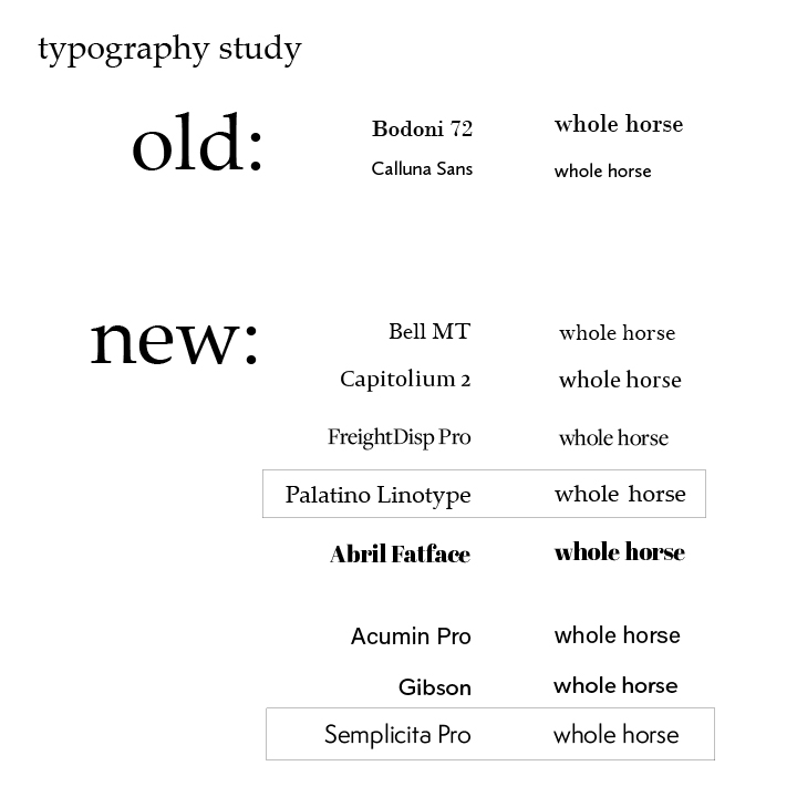 BrandDevelopmentArtboard 1WholeHorse